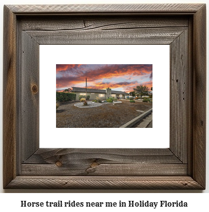 horse trail rides near me in Holiday, Florida